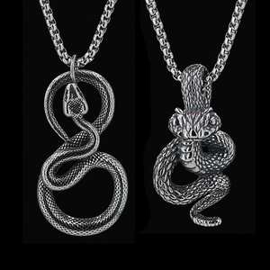 Collana Con Pendente a Serpente Gotico Punk Vintage Per Uomo Acciaio al Titanio Argento Antico Collana Animale Hip Hop