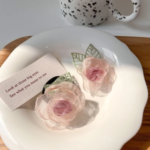 Gedetailleerde macro-opname van twee roze organza rozen haarelastiekjes met bladdecor