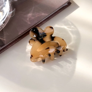 Détail de la pince à cheveux écaille de tortue avec texte doré Barrette la France