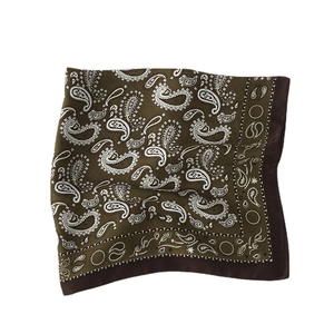 Olive green paisley silk square scarf with vintage pattern and dark brown border