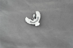 Detailaufnahme des Adler-Anhängers aus Edelstahl mit feiner Federstruktur-Gravur
