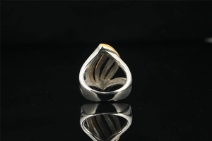 Macro shot of abstract leaf curved ring in silver and gold titanium steel on black background