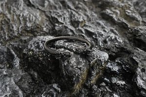Detalle de brazalete vintage de acero de titanio trenzado con cabezas de dragón talladas