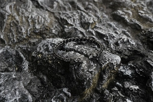 Detail of twisted cable texture and carved wolf head on silver titanium steel bracelet