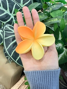 Dettaglio della pinza per capelli a forma di plumeria con sfumatura opaca