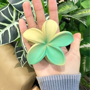 Pinza per capelli a forma di plumeria sfumata opaca gialla e verde in mano