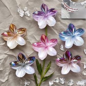 Lot de six pinces à cheveux fleurs chatoyantes aux couleurs dégradées pour l'été