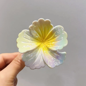Detailaufnahme einer perlmuttfarbenen Haarklammer mit buntem Farbverlauf im Hawaii-Stil
