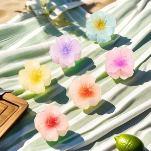 Set of six colorful 4cm matte resin flower hair claws on a green striped background