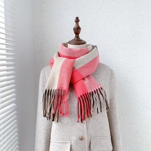 Dettaglio di sciarpa morbida a quadri arcobaleno con nappe rosa e beige su un manichino