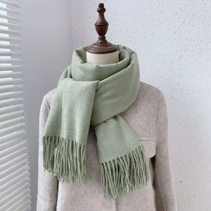 Detailed view of pale green scarf with long fringe tassels on a beige coat display