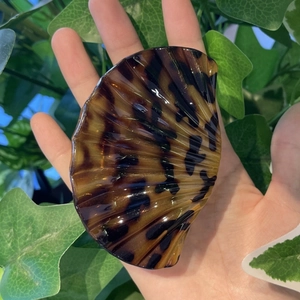 Macro shot of tortoiseshell scallop hair claw clip with a glossy finish and wavy edges