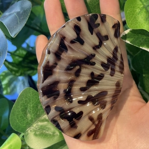 Detailed view of leopard print shell hair claw clip in acetate held against greenery