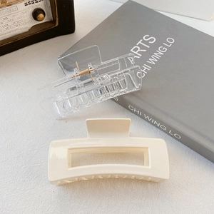 Set aus zwei 10,5 cm quadratischen Haarklammern in transparent und glänzend beige für Damen