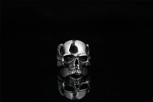 Gothic skull ring in titanium steel with detailed wings and vintage matte finish