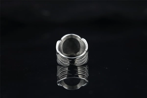 Macro shot of silver skull ring band with detailed feather textures on black background