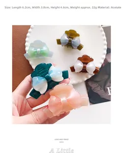 Détail montrant des pinces à cheveux en acétate de qualité en plusieurs couleurs et tailles