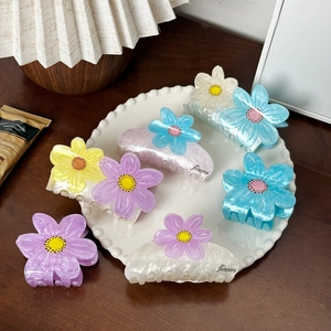 Bunte Haarklammern mit Gänseblümchen-Design auf einem weißen Keramikteller