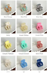 Lot de mini pinces à cheveux en acétate en douze couleurs gelées pour le coiffage