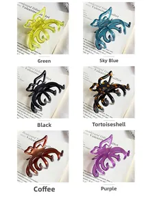 Detail of colorful acetate butterfly hair claws with handcrafted French gold lettering