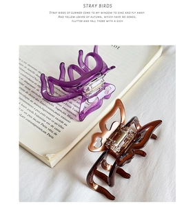 Detail of jelly-colored butterfly hair clips in purple and brown resin with metal springs
