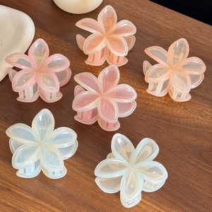 Matte Jelly Kontrastfarbe Frangipani Blume Haarkralle Elegant Mattierte Plumeria Hai-Clip Für Damen Urlaub Zubehör