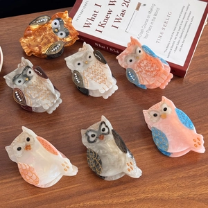 Creative Owl Shaped Acetate Hair Claw Clip For Women Cartoon Animal Design With Rhinestone Inlaid Fashion Hair Accessory