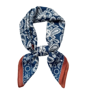 Classic navy blue paisley silk scarf with vintage white patterns and red borders