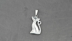 Detail van gepolijste zilveren kattenhanger met strass en stevige metalen oogje