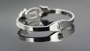 Detailaufnahme eines Titanstahl-Armbands in Silber mit doppelreihigem Zirkonia-Besatz