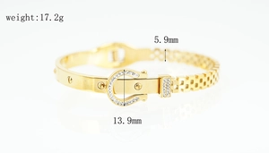 Makroaufnahme von Gold Hufeisenschnalle Armband mit Kristall und Mesh-Kette