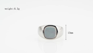 Detailed view of silver titanium steel ring featuring a square grey shell inlay