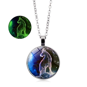 Leuchtende Steinbock Sternzeichen Halskette mit Glasanhänger und silberner Kette