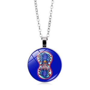 Macro shot of vintage round pendant featuring scorpion deity glass art and silver chain