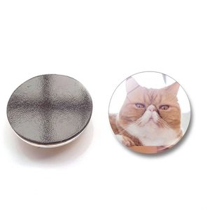 Detailed view of round cat fridge magnet showing magnetic back and glass cat face