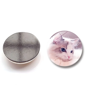 Cute kitten glass refrigerator magnets with soft cat patterns and magnetic black bases