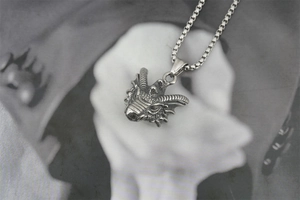 Close-up of a vintage dragon head pendant in silver-tone titanium steel with box chain