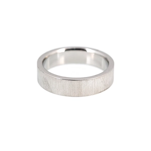 Classic silver titanium steel ring with brushed finish and polished inner surface