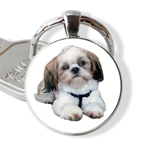 Portachiavi con Ciondolo a Cabochon in Vetro Rotondo Cane Shih Tzu Lega di Zinco Argento Anello Portachiavi Regalo Personalizzato Animali