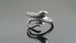 Macro shot of silver snake ring featuring detailed scales and antique finish texture