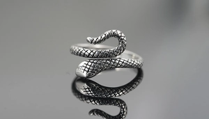 Macro shot of punk style snake ring showing detailed retro scales and adjustable band