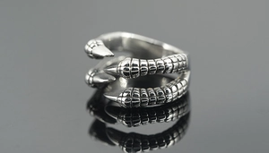 Macro shot of vintage silver dragon claw ring showing detailed scales and punk metal texture