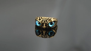 Vista macro de anillo de búho retro con plumas detalladas y ojos de cristal azul