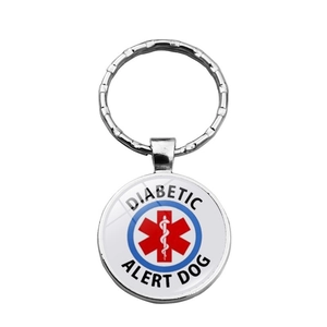 Porte-clés d'alerte médicale pour chien avec symbole de vie rouge pour avertissement diabète