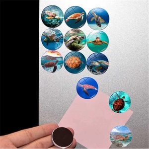 Dettaglio di 12 calamite da frigo tartaruga in vetro cristallo con retro magnetico e motivi vivaci