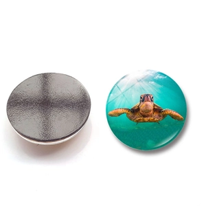 Dettaglio del magnete da frigo a tartaruga da 25mm con cupola in vetro e retro magnetico