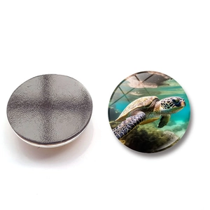 Calamita da frigo creativa tonda in vetro da 25mm con tartaruga per decorazione