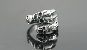 Macro shot of gothic dragon claw and skull ring in vintage silver finish with reflections