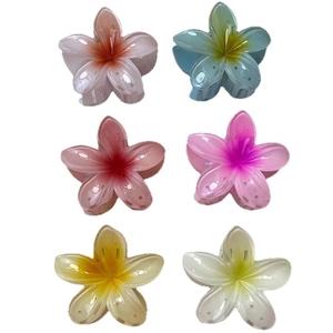 Set van zes kleurrijke 8 cm plumeria haarklemmen met een glanzende harsafwerking