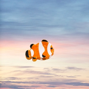Détail d'une pince à cheveux en forme de poisson-clown en acétate brillant